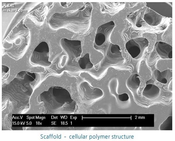 光固化3D打印機又上新臺階 打印質量媲美注塑成型

光固化3d打印機原理,光固化3d打印機,光固化3d打印機教程,光固化3d打印機多少錢,光固化3d打印機技術領域,光固化3d打印機價格區間