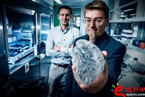 生物3d打印,生物3d打印技術(shù),生物3d打印技術(shù),生物3d打印材料,生物3d打印發(fā)展,3D打印心臟,3D打印服務(wù)