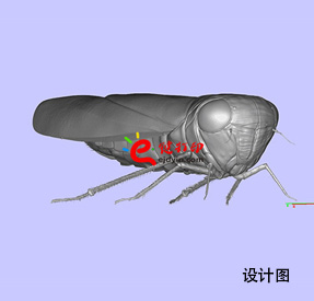 3D打印生物標(biāo)本3